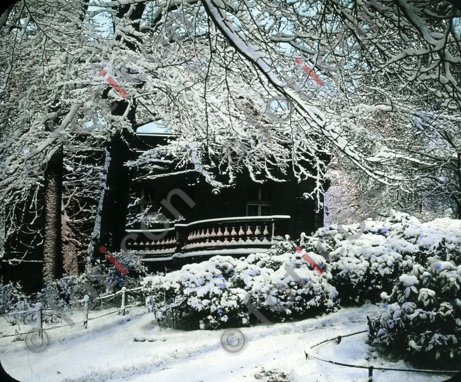 Der Hofgarten im Winter ; The Hofgarten in winter (foticon-600-simon-duesseldorf-340-046.jpg)
